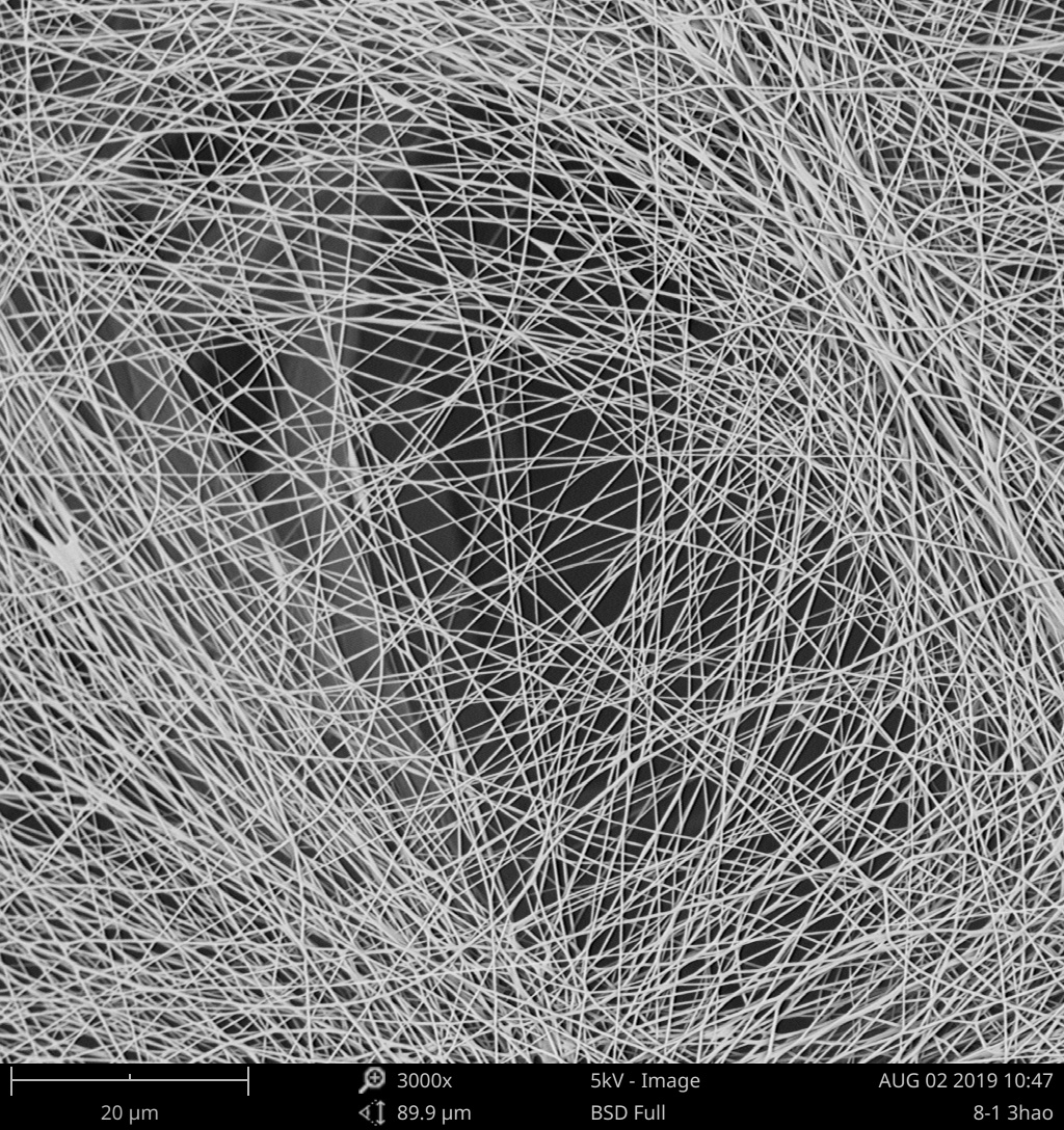 Nanofiber network seen under a scanning electron microscope